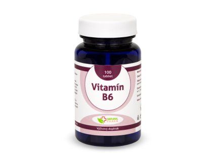 Vitamín B6 100ks www